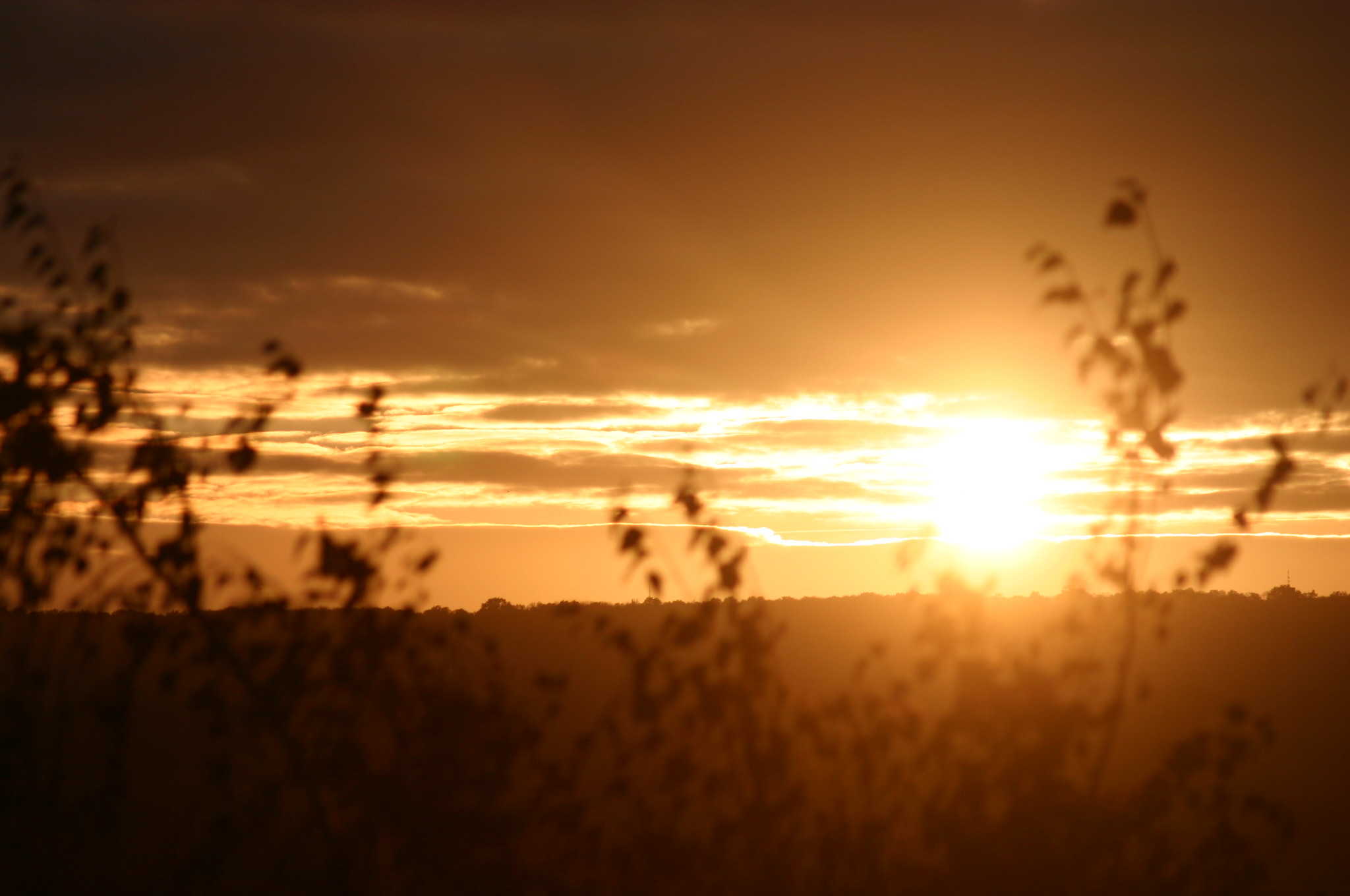 SOLEIL DE CERGY