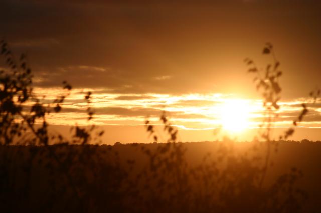 SOLEIL DE CERGY